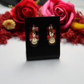 Cercei Aur 14K Banuti