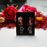 Cercei Aur 14K Stelute