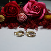Cercei Aur 14K Cercuri