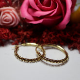 Cercei Aur 14K cerc
