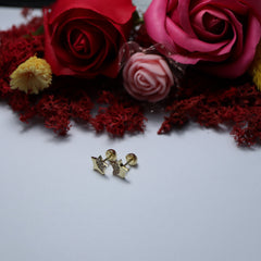 Cercei Aur 14K copii steluta cu pietricele