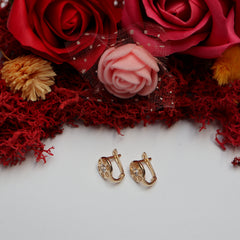 Cercei Aur 14K Rotunzi cu piatra