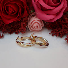 Cercei Aur 14K Creole