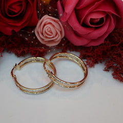 Cercei Aur 14K Rotunzi