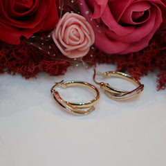 Cercei Aur 14K Rotunzi