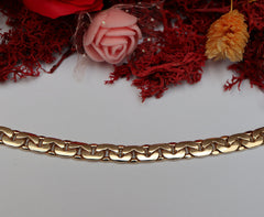 Bratara Aur Zale plate