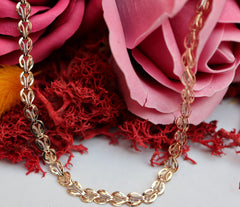 Lant Aur Model deosebit